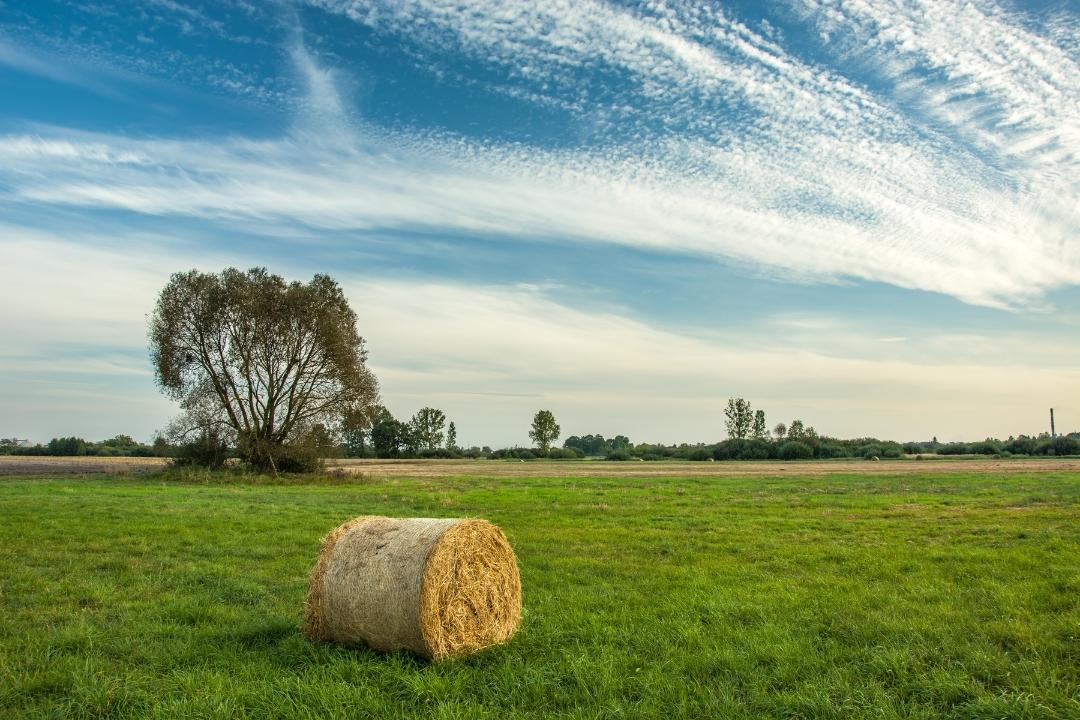 Rural land with a bale of hay, potential site for Rural Property Loans