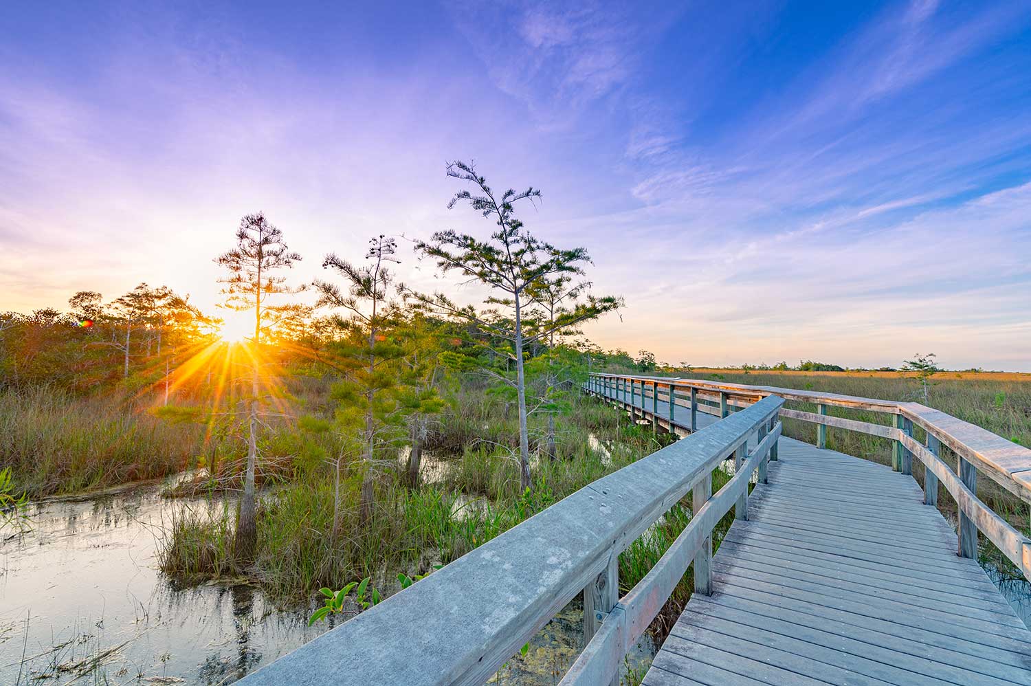 florida nature