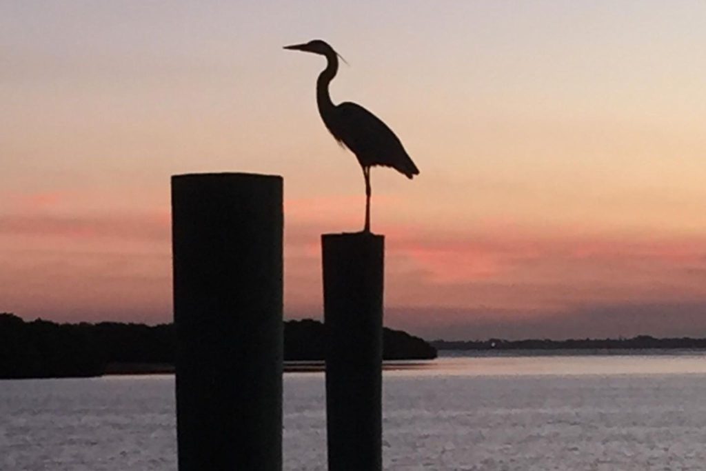 St Regis Longboat Key