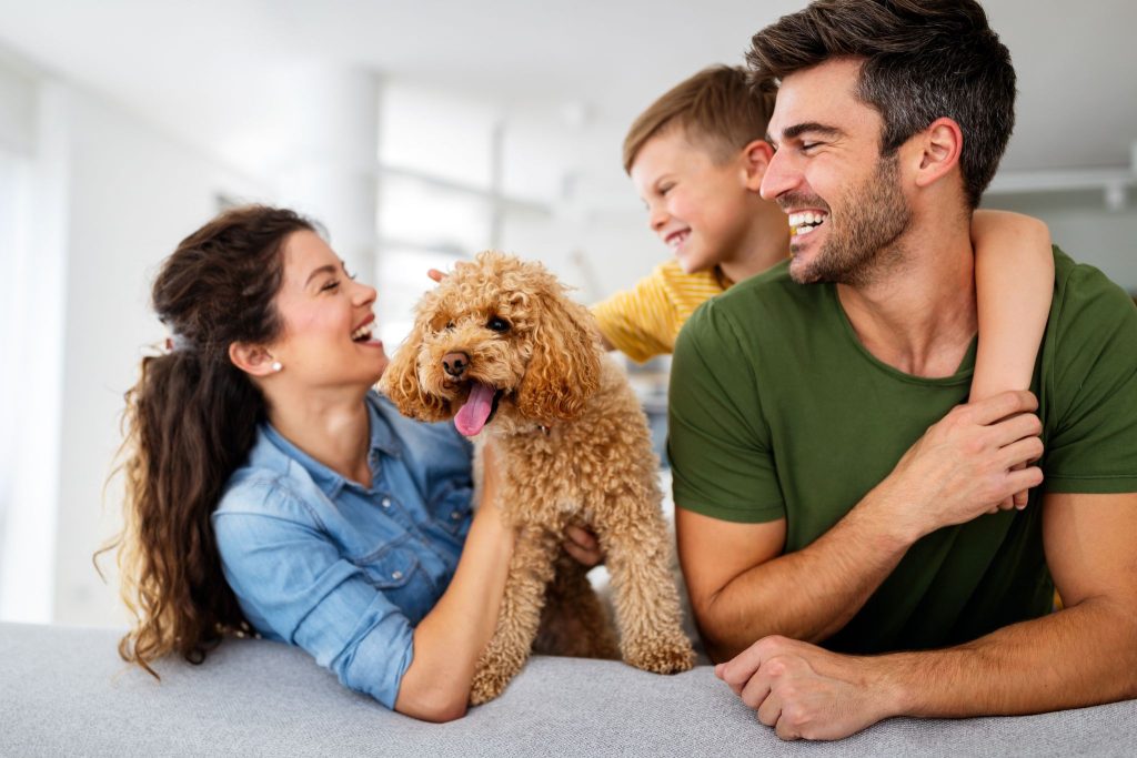 No Income Verification Loan Florida