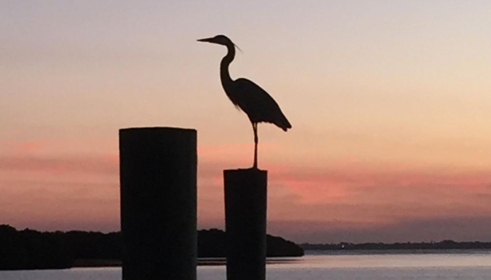 Super jumbo mortgage Longboat Key